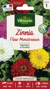 Zinnia à Fleur Monstrueuse 